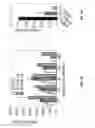 Fig. 09 - Methods and compositions for assessing viral nuclear localization