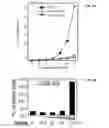 Fig. 10 - Methods and compositions for assessing viral nuclear localization