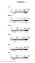 Fig. 50 - Modification of lignin biosynthesis via sense suppression