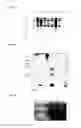 Fig. 58 - Modification of lignin biosynthesis via sense suppression