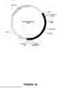 Fig. 78 - Modification of lignin biosynthesis via sense suppression