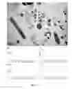 Fig. 04 - Method of synthesizing biogenic elemental selenium nanostructure using enterobacter cloacae and application thereof