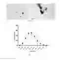 Fig. 05 - Method of synthesizing biogenic elemental selenium nanostructure using enterobacter cloacae and application thereof