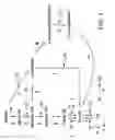 Fig. 05 - Microorganisms and methods for the production of butadiene using acetyl-CoA
