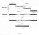 Fig. 07 - RECOMBINANT CELLS PRODUCING ITACONIC ACID AND METHYL ESTERS THEREOF