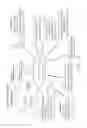 Fig. 19 - Genetically modified microorganism for producing medium-chain lauric acid and/or dodecanedioic acid and method of using thereof