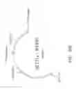 Fig. 22 - Genetically modified microorganism for producing medium-chain lauric acid and/or dodecanedioic acid and method of using thereof