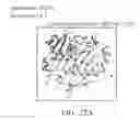Fig. 25 - Genetically modified microorganism for producing medium-chain lauric acid and/or dodecanedioic acid and method of using thereof
