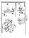 Fig. 27 - Genetically modified microorganism for producing medium-chain lauric acid and/or dodecanedioic acid and method of using thereof