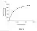 Fig. 07 - Mutant sugar isomerase with improved activity, derived from , and production of L-gulose using the same