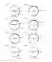 Fig. 03 - Method for producing carotenoids each having 50 carbon atoms