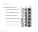 Fig. 18 - Method for producing carotenoids each having 50 carbon atoms