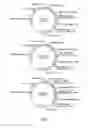 Fig. 09 - Method for biocatalytic whole cell reduction of dehydrocholic acid compounds, and 7-β-hydroxysteroid dehydrogenase mutants