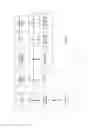 Fig. 10 - Detecting an analyte in a flash and glow reaction