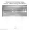 Fig. 06 - Rapid detection of infectious agents