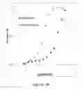 Fig. 04 - NUCLEIC ACID AMPLIFICATION AND USE THEREOF