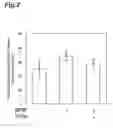 Fig. 03 - Method For Predicting Effectiveness Of Angiogenesis Inhibitor