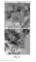 Fig. 22 - Electrochemical electrode comprising tin-based catalyst, method of making, and method of use