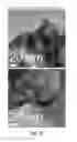 Fig. 27 - Electrochemical electrode comprising tin-based catalyst, method of making, and method of use