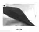 Fig. 21 - Separators, electrodes, half-cells, and cells of electrical energy storage devices