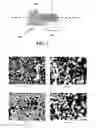 Fig. 04 - Process for preparing a silicon-carbon nanocomposite nanofiber