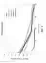 Fig. 07 - Process for preparing a silicon-carbon nanocomposite nanofiber
