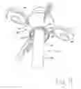 Fig. 10 - Pole assembly