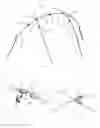 Fig. 02 - Foldable tent rack