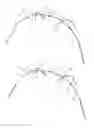 Fig. 06 - Foldable tent rack
