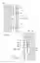 Fig. 10 - Tubular wellhead component coupling systems and method