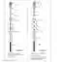 Fig. 13 - Dual stripper apparatus