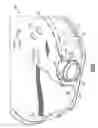 Fig. 07 - Mixer and doser cone assembly