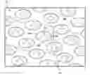 Fig. 01 - ENGINE COMPONENT ASSEMBLY