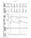 Fig. 06 - Method of detecting abnormality of air-fuel ratio sensor