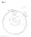 Fig. 04 - Double-ended scroll compressor lubrication of one orbiting scroll bearing via crankshaft oil gallery from another orbiting scroll bearing