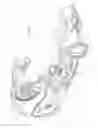 Fig. 02 - Disk brake for a utility vehicle