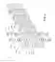 Fig. 03 - Leaf chain