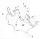 Fig. 01 - DRIVETRAIN SYSTEM AND USE THEREOF