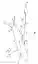 Fig. 02 - Tuned RAT driveshaft
