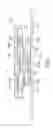 Fig. 02 - Key supporting structure
