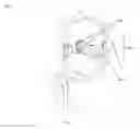 Fig. 10 - Landscape light