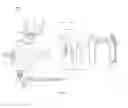 Fig. 11 - Landscape light