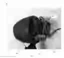 Fig. 17 - Landscape light