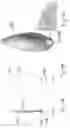Fig. 20 - Electric lighting device