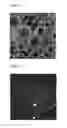Fig. 03 - Light-emitting film