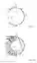 Fig. 05 - External secondary solar concentrator
