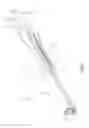 Fig. 02 - Integrally suppressed barrel for firearm