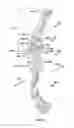 Fig. 09 - Archery bow riser