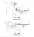 Fig. 19 - Axially offset foregrip for a firearm and related devices, systems, and methods