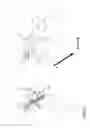 Fig. 07 - Apparatus for changing between a two-point sling state and a one-point sling state